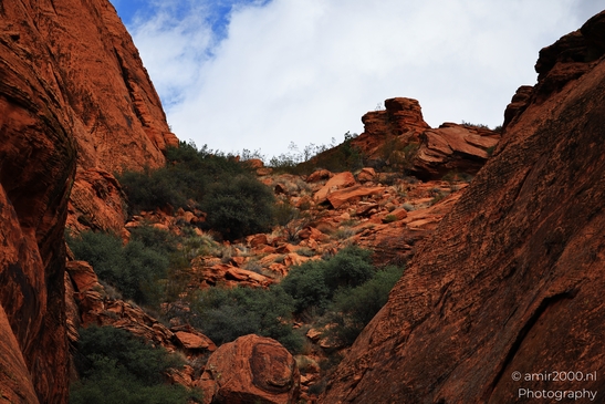 Jenny_Canyon_Trail_Snow_Canyon_State_Park_St_George_Utah_Western_USA_Nature_Photography_Canon_EOS_R5_Mark_II_2025_049.JPG