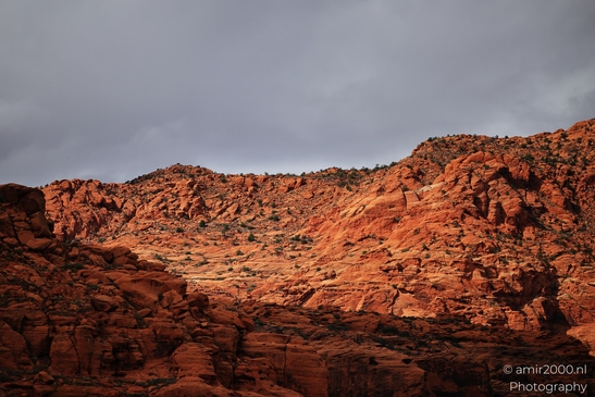Jenny_Canyon_Trail_Snow_Canyon_State_Park_St_George_Utah_Western_USA_Nature_Photography_Canon_EOS_R5_Mark_II_2025_050.JPG