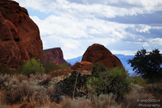 Jenny_Canyon_Trail_Snow_Canyon_State_Park_St_George_Utah_Western_USA_Nature_Photography_Canon_EOS_R5_Mark_II_2025_051.JPG