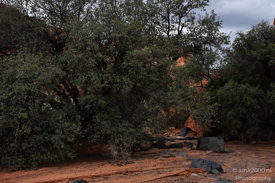 Jenny_Canyon_Trail_Snow_Canyon_State_Park_St_George_Utah_Western_USA_Nature_Photography_Canon_EOS_R5_Mark_II_2025_053.JPG
