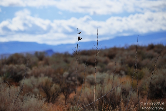 Jenny_Canyon_Trail_Snow_Canyon_State_Park_St_George_Utah_Western_USA_Nature_Photography_Canon_EOS_R5_Mark_II_2025_055.JPG