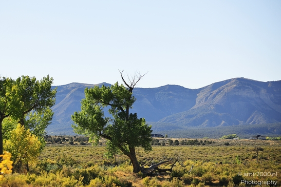 Landscape_around_Mesa_Verde_National_Park_Colorado_USA_Western_USA_Nature_Photography_Canon_EOS_R5_Mark_II_2025_001.JPG