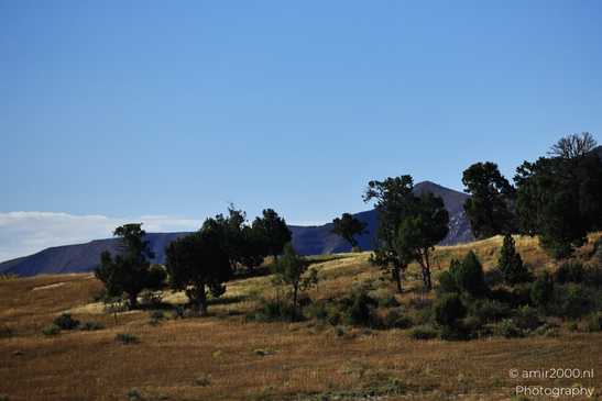 Landscape_around_Mesa_Verde_National_Park_Colorado_USA_Western_USA_Nature_Photography_Canon_EOS_R5_Mark_II_2025_004.JPG