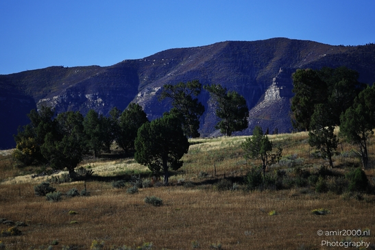 Landscape_around_Mesa_Verde_National_Park_Colorado_USA_Western_USA_Nature_Photography_Canon_EOS_R5_Mark_II_2025_005.JPG