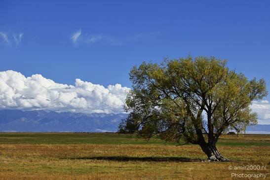 Landscape_on_the_way_to_Colorado_Springs_Colorado_USA_Western_USA_Nature_Photography_Canon_EOS_R5_Mark_II_2025_002.JPG