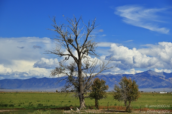 Landscape_on_the_way_to_Colorado_Springs_Colorado_USA_Western_USA_Nature_Photography_Canon_EOS_R5_Mark_II_2025_003.JPG