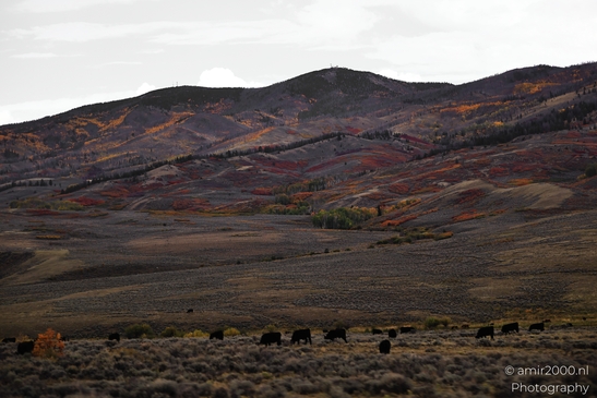 Landscape_on_the_way_to_Colorado_Springs_Colorado_USA_Western_USA_Nature_Photography_Canon_EOS_R5_Mark_II_2025_023.JPG