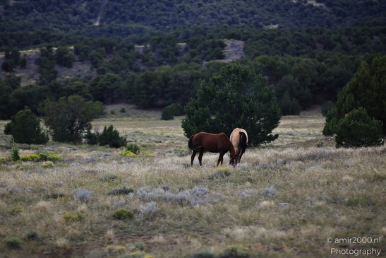Landscape_on_the_way_to_Colorado_Springs_Colorado_USA_Western_USA_Nature_Photography_Canon_EOS_R5_Mark_II_2025_028.JPG