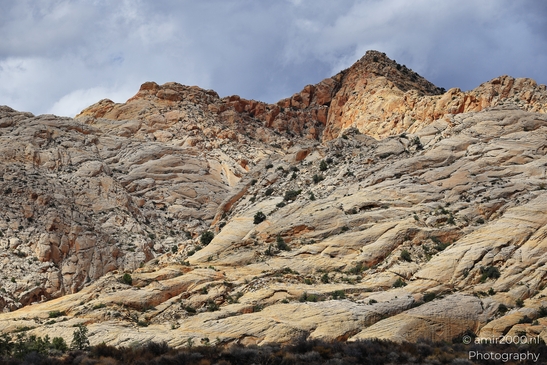 Lava_Flow_Trailhead_Snow_Canyon_State_Park_St_George_Utah_Western_USA_Nature_Photography_Canon_EOS_R5_Mark_II_2025_002.JPG