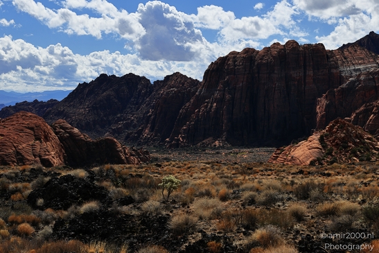 Lava_Flow_Trailhead_Snow_Canyon_State_Park_St_George_Utah_Western_USA_Nature_Photography_Canon_EOS_R5_Mark_II_2025_022.JPG