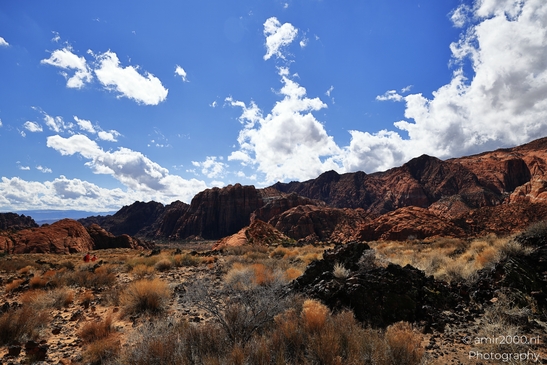 Lava_Flow_Trailhead_Snow_Canyon_State_Park_St_George_Utah_Western_USA_Nature_Photography_Canon_EOS_R5_Mark_II_2025_024.JPG
