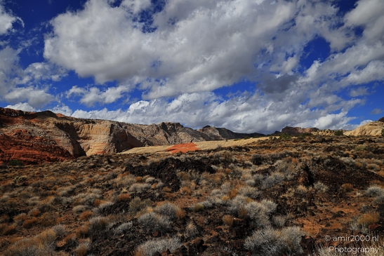 Lava_Flow_Trailhead_Snow_Canyon_State_Park_St_George_Utah_Western_USA_Nature_Photography_Canon_EOS_R5_Mark_II_2025_030.JPG