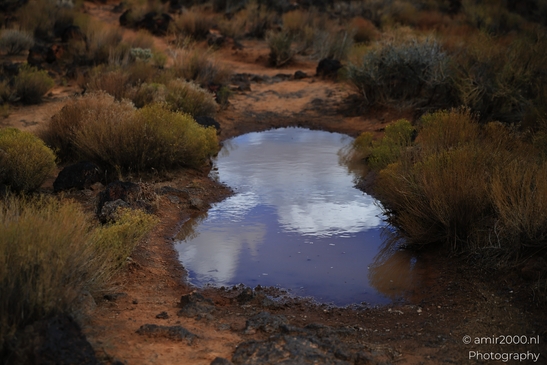 Lava_Flow_Trailhead_Snow_Canyon_State_Park_St_George_Utah_Western_USA_Nature_Photography_Canon_EOS_R5_Mark_II_2025_040.JPG
