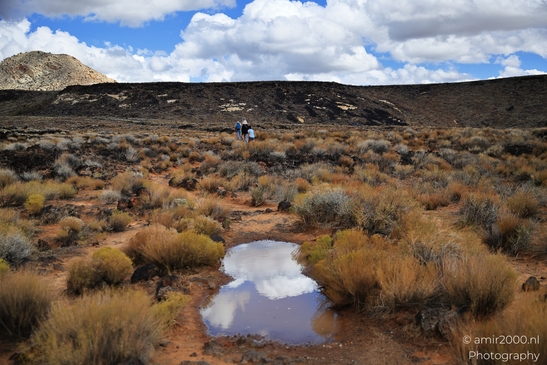 Lava_Flow_Trailhead_Snow_Canyon_State_Park_St_George_Utah_Western_USA_Nature_Photography_Canon_EOS_R5_Mark_II_2025_041.JPG