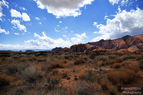 Lava_Flow_Trailhead_Snow_Canyon_State_Park_St_George_Utah_Western_USA_Nature_Photography_Canon_EOS_R5_Mark_II_2025_042.JPG