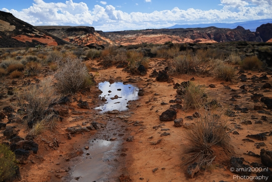 Lava_Flow_Trailhead_Snow_Canyon_State_Park_St_George_Utah_Western_USA_Nature_Photography_Canon_EOS_R5_Mark_II_2025_045.JPG