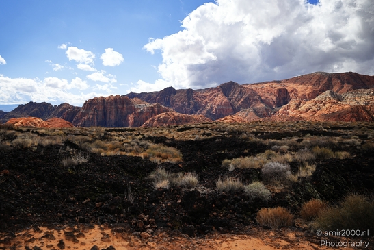 Lava_Flow_Trailhead_Snow_Canyon_State_Park_St_George_Utah_Western_USA_Nature_Photography_Canon_EOS_R5_Mark_II_2025_047.JPG