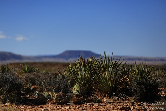 Lee_Canyon_View_Cameron_Arizona_USA_Western_Usa_Nature_Photography_Canon_EOS_R5_Mark_II_2025_012.JPG