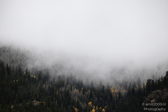Misty_Mountain_Forest_Colorado_USA_Western_USA_Nature_Photography_Canon_EOS_R5_Mark_II_2025_003.JPG