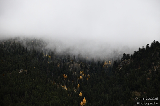 Misty_Mountain_Forest_Colorado_USA_Western_USA_Nature_Photography_Canon_EOS_R5_Mark_II_2025_004.JPG