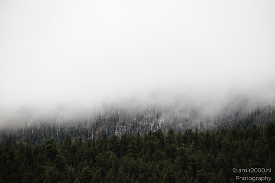 Misty_Mountain_Forest_Colorado_USA_Western_USA_Nature_Photography_Canon_EOS_R5_Mark_II_2025_008.JPG
