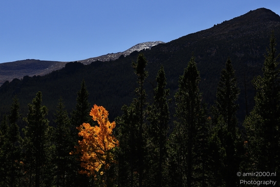More_Scenery_Rocky_Mountain_National_Park_Colorado_Western_USA_Nature_Photography_Canon_EOS_R5_Mark_II_2025_002.JPG