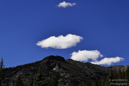 More_Scenery_Rocky_Mountain_National_Park_Colorado_Western_USA_Nature_Photography_Canon_EOS_R5_Mark_II_2025_005.JPG
