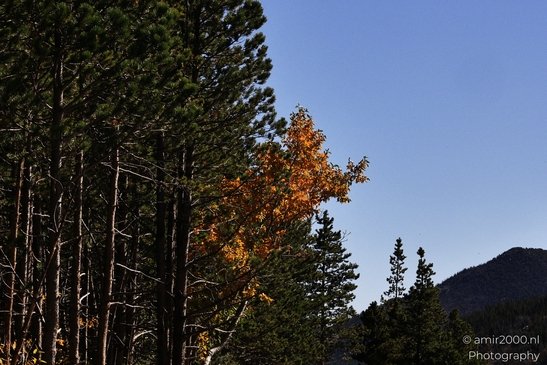 More_Scenery_Rocky_Mountain_National_Park_Colorado_Western_USA_Nature_Photography_Canon_EOS_R5_Mark_II_2025_006.JPG