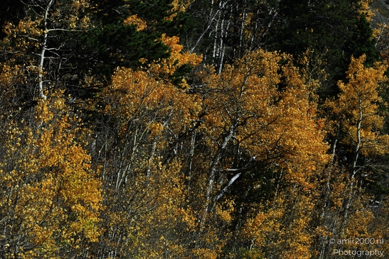 More_Scenery_Rocky_Mountain_National_Park_Colorado_Western_USA_Nature_Photography_Canon_EOS_R5_Mark_II_2025_007.JPG