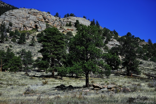 More_Scenery_Rocky_Mountain_National_Park_Colorado_Western_USA_Nature_Photography_Canon_EOS_R5_Mark_II_2025_016.JPG