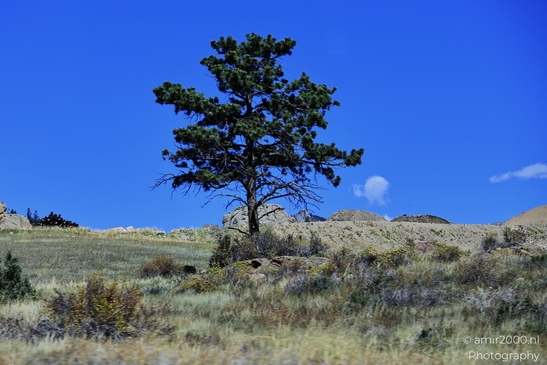 More_Scenery_Rocky_Mountain_National_Park_Colorado_Western_USA_Nature_Photography_Canon_EOS_R5_Mark_II_2025_019.JPG