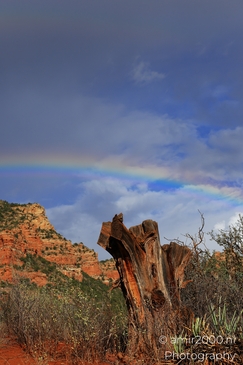 Morning_Rainbow_Over_Bell_Rock_Sedona_Arizona_USA_Western_USA_Nature_Photography_Canon_EOS_R5_Mark_II_2025_005.JPG