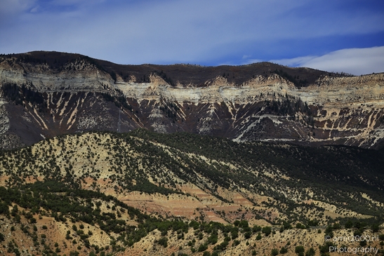 Mountain_Landscape_On_The_Way_Colorado_USA_Western_USA_Nature_Photography_Canon_EOS_R5_Mark_II_2025_010.JPG