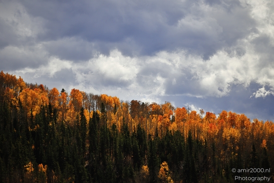 Mountainous_Landscape_In_Eagle_County_Fall_Season_Colorado_USA_Western_USA_Nature_Photography_Canon_EOS_R5_Mark_II_2025_002.JPG