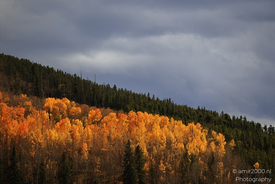 Mountainous_Landscape_In_Eagle_County_Fall_Season_Colorado_USA_Western_USA_Nature_Photography_Canon_EOS_R5_Mark_II_2025_003.JPG