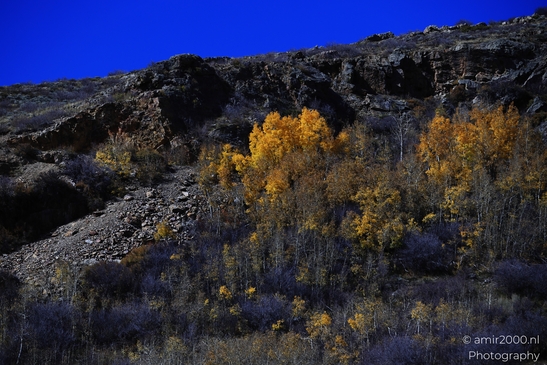 Mountainous_Landscape_In_Eagle_County_Fall_Season_Colorado_USA_Western_USA_Nature_Photography_Canon_EOS_R5_Mark_II_2025_005.JPG