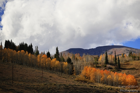 Mountainous_Landscape_In_Eagle_County_Fall_Season_Colorado_USA_Western_USA_Nature_Photography_Canon_EOS_R5_Mark_II_2025_011.JPG
