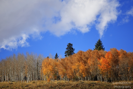 Mountainous_Landscape_In_Eagle_County_Fall_Season_Colorado_USA_Western_USA_Nature_Photography_Canon_EOS_R5_Mark_II_2025_012.JPG