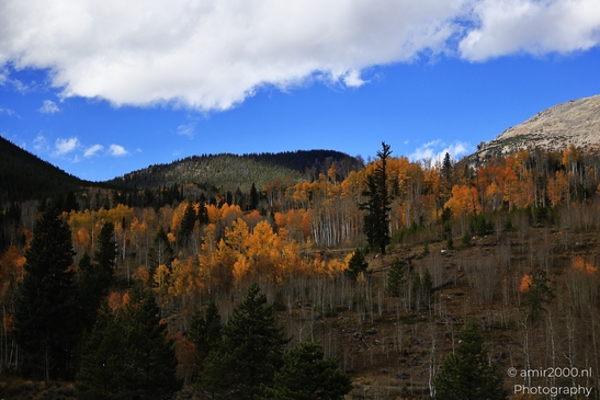 Mountainous_Landscape_In_Eagle_County_Fall_Season_Colorado_USA_Western_USA_Nature_Photography_Canon_EOS_R5_Mark_II_2025_020.JPG