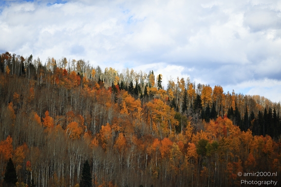 Mountainous_Landscape_In_Eagle_County_Fall_Season_Colorado_USA_Western_USA_Nature_Photography_Canon_EOS_R5_Mark_II_2025_021.JPG