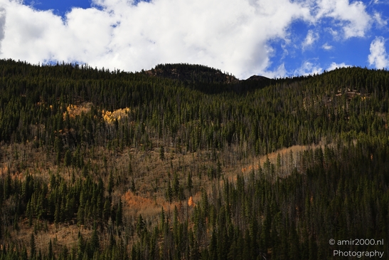 Mountainous_Landscape_In_Eagle_County_Fall_Season_Colorado_USA_Western_USA_Nature_Photography_Canon_EOS_R5_Mark_II_2025_028.JPG