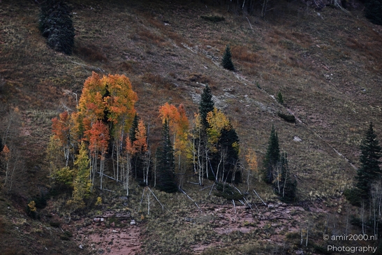Mountainous_Landscape_In_Eagle_County_Fall_Season_Colorado_USA_Western_USA_Nature_Photography_Canon_EOS_R5_Mark_II_2025_039.JPG