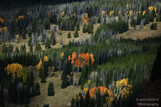 Mountainous_Landscape_In_Eagle_County_Fall_Season_Colorado_USA_Western_USA_Nature_Photography_Canon_EOS_R5_Mark_II_2025_040.JPG