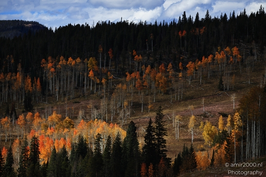 Mountainous_Landscape_In_Eagle_County_Fall_Season_Colorado_USA_Western_USA_Nature_Photography_Canon_EOS_R5_Mark_II_2025_041.JPG