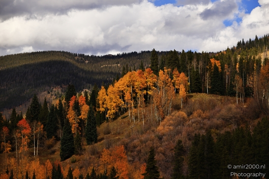 Mountainous_Landscape_In_Eagle_County_Fall_Season_Colorado_USA_Western_USA_Nature_Photography_Canon_EOS_R5_Mark_II_2025_045.JPG
