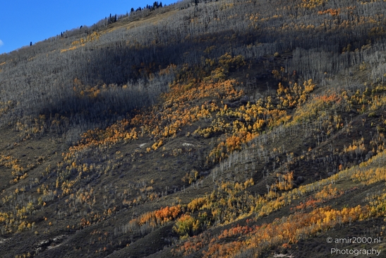 Mountainous_Landscape_In_Eagle_County_Fall_Season_Colorado_USA_Western_USA_Nature_Photography_Canon_EOS_R5_Mark_II_2025_047.JPG