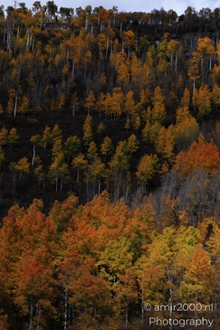 Mountainous_Landscape_In_Eagle_County_Fall_Season_Colorado_USA_Western_USA_Nature_Photography_Canon_EOS_R5_Mark_II_2025_049.JPG