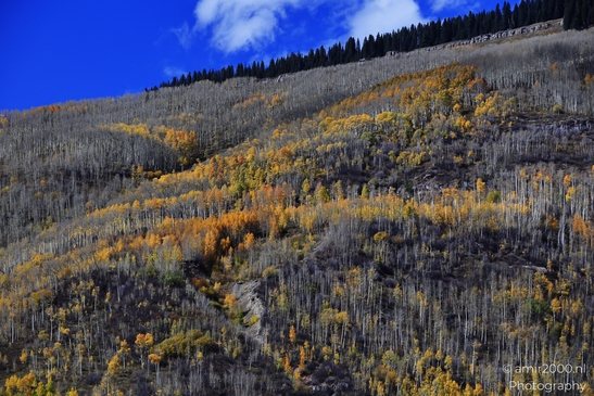 Mountainous_Landscape_In_Eagle_County_Fall_Season_Colorado_USA_Western_USA_Nature_Photography_Canon_EOS_R5_Mark_II_2025_050.JPG