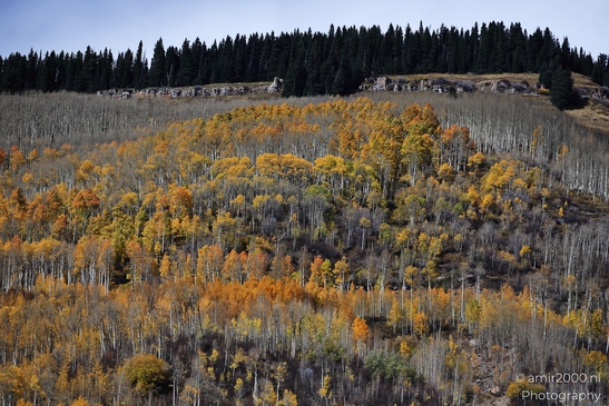Mountainous_Landscape_In_Eagle_County_Fall_Season_Colorado_USA_Western_USA_Nature_Photography_Canon_EOS_R5_Mark_II_2025_051.JPG