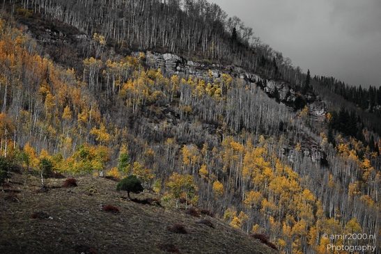 Mountainous_Landscape_In_Eagle_County_Fall_Season_Colorado_USA_Western_USA_Nature_Photography_Canon_EOS_R5_Mark_II_2025_052.JPG